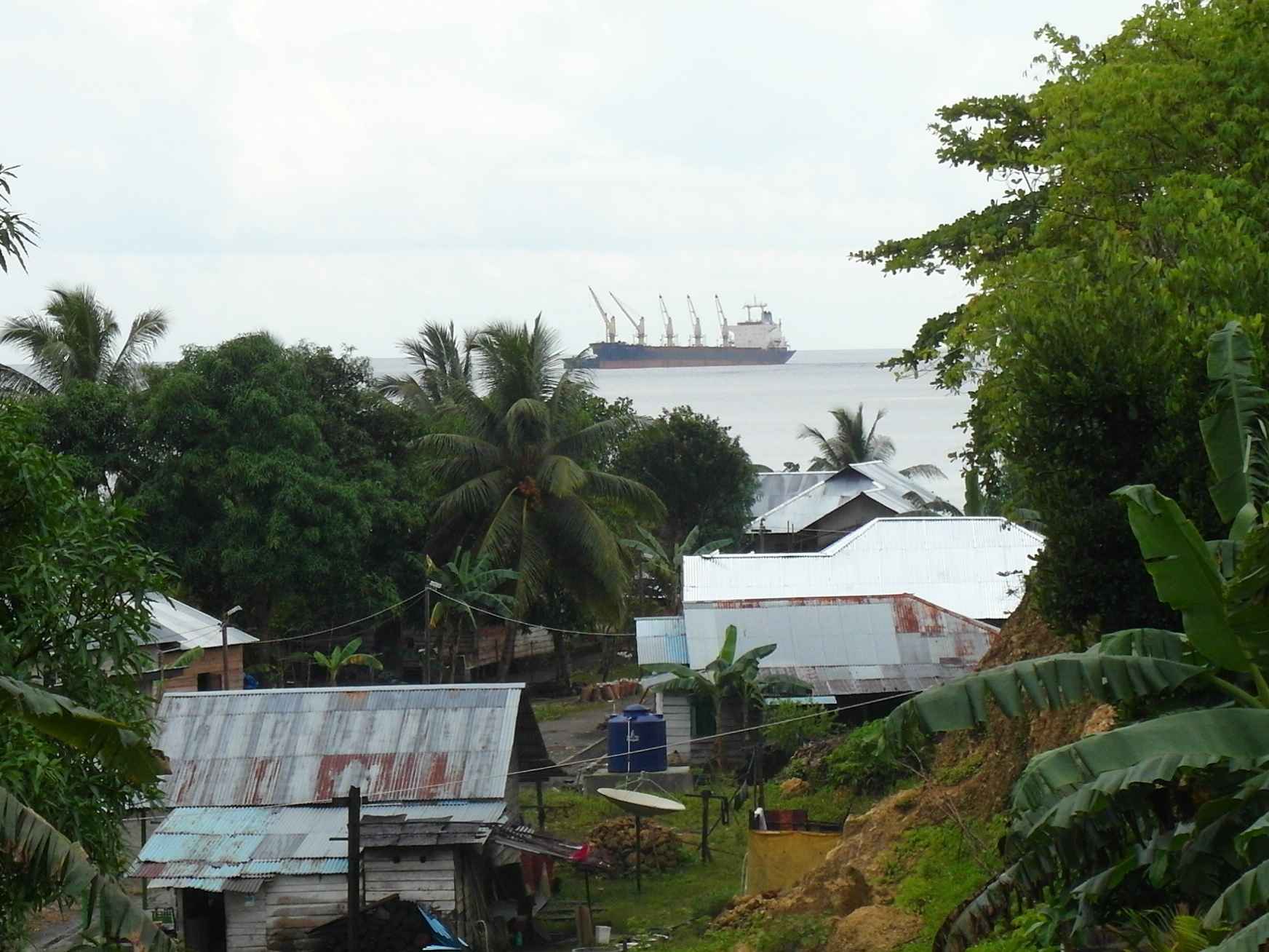 A Chinese ship waits to carry raw nickel out of Weda Bay